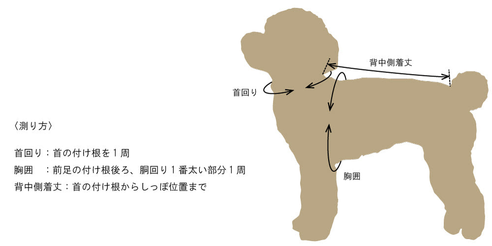犬の首回り・胸囲・背中側着丈の測り方